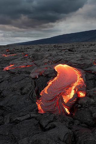 048 Big Island, Hilo, Lavawandeling.jpg